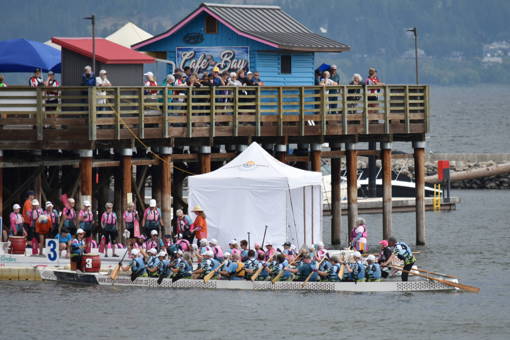 20th ANNUAL FESTIVAL